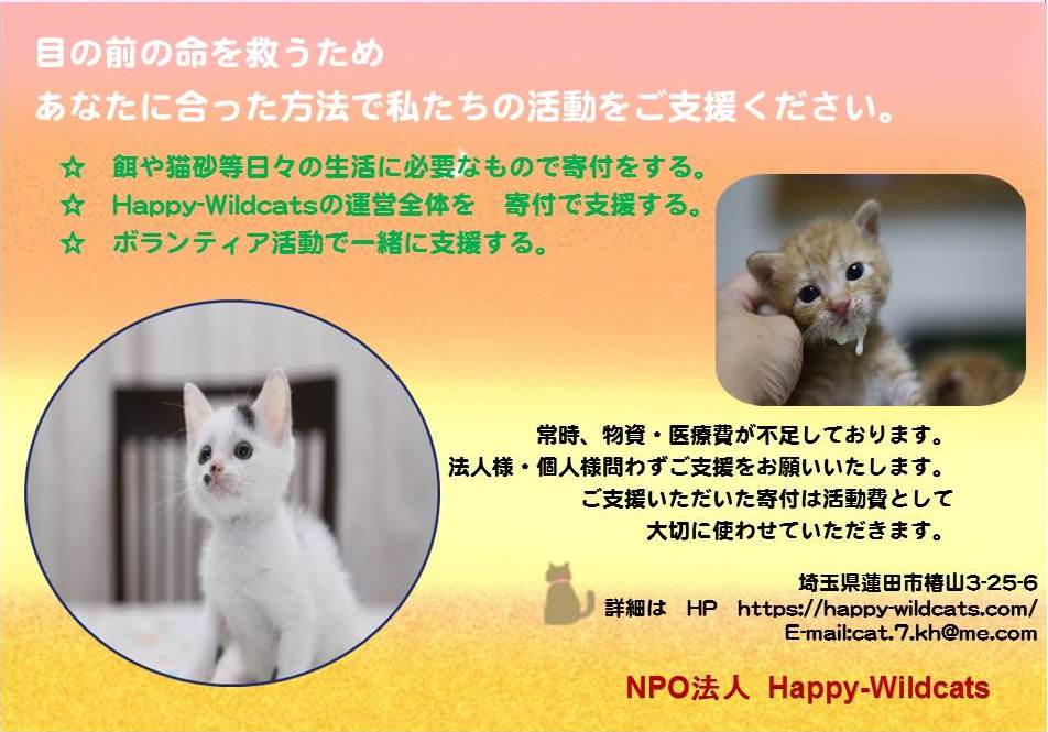 ボランティア募集