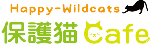 Happy-Wildcats 保護猫カフェのご案内