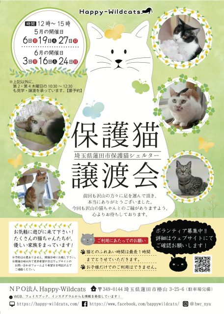 保護猫譲渡会のお知らせ