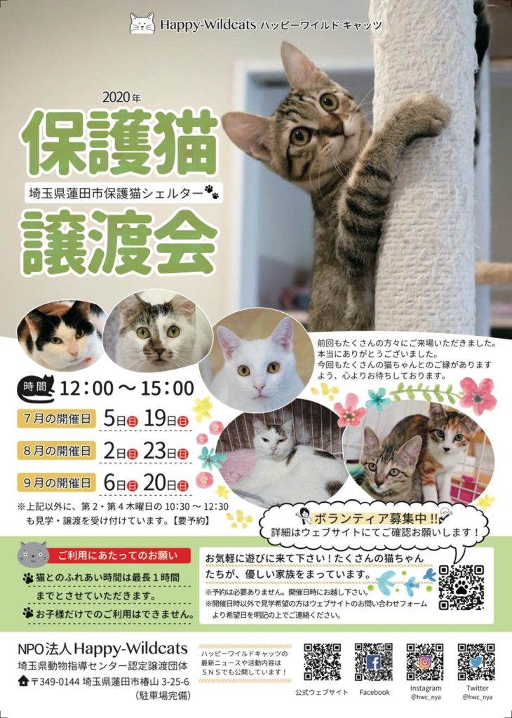 2020年7月〜9月の保護猫譲渡会のお知らせ