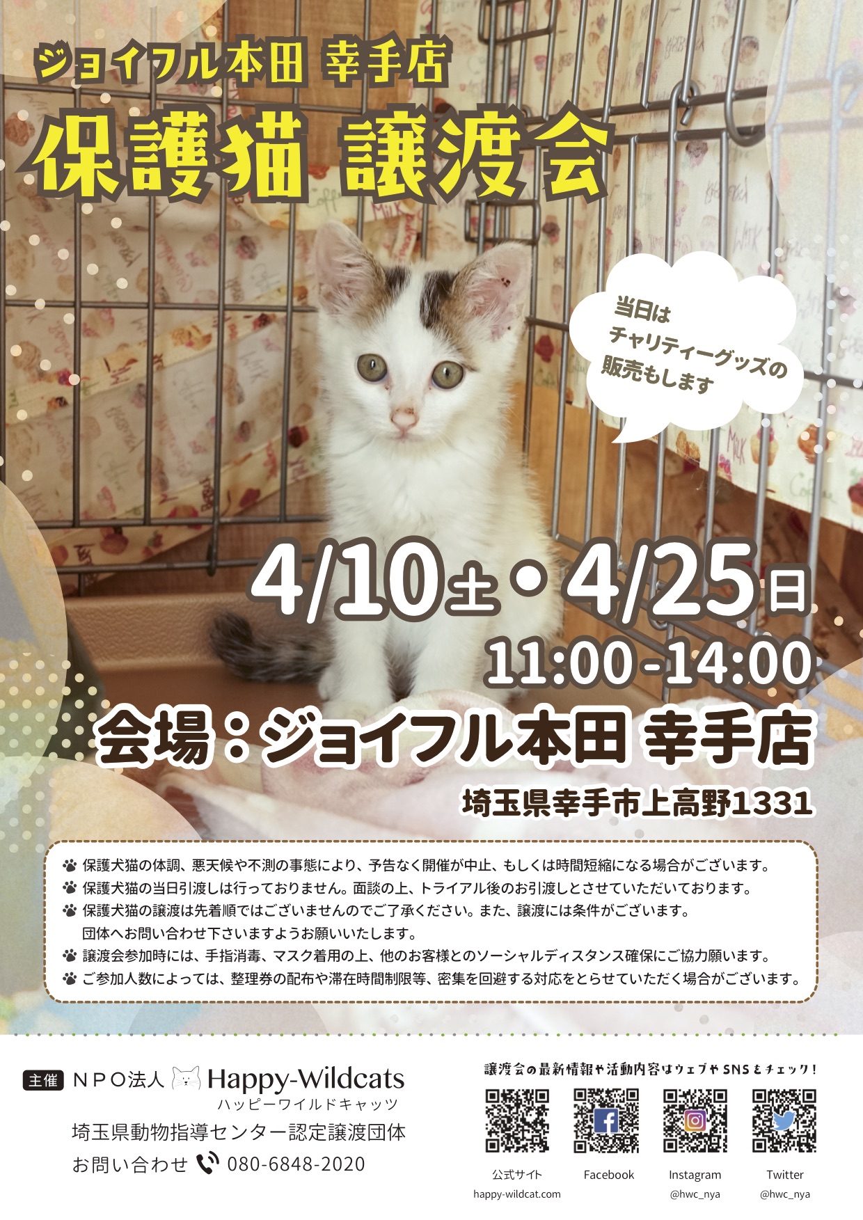 ジョイフル本田 幸手店にて保護猫譲渡会