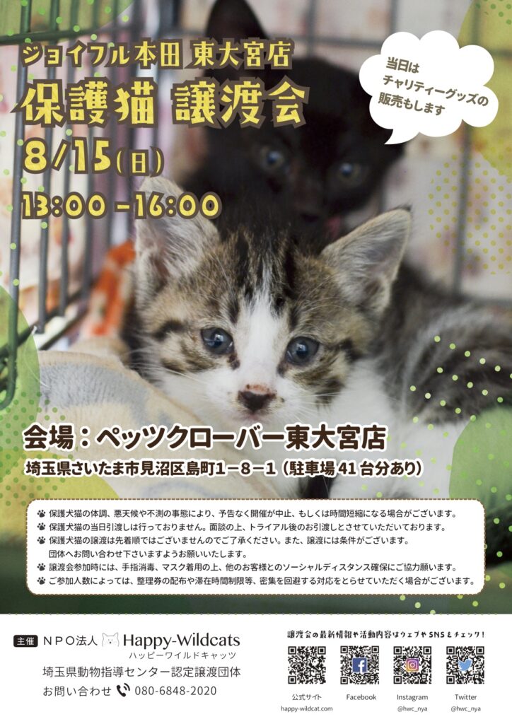 ジョイフル本田 東大宮店にて保護猫譲渡会