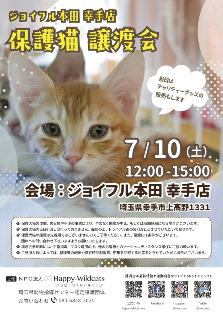 ジョイフル本田 幸手店にて保護猫譲渡会