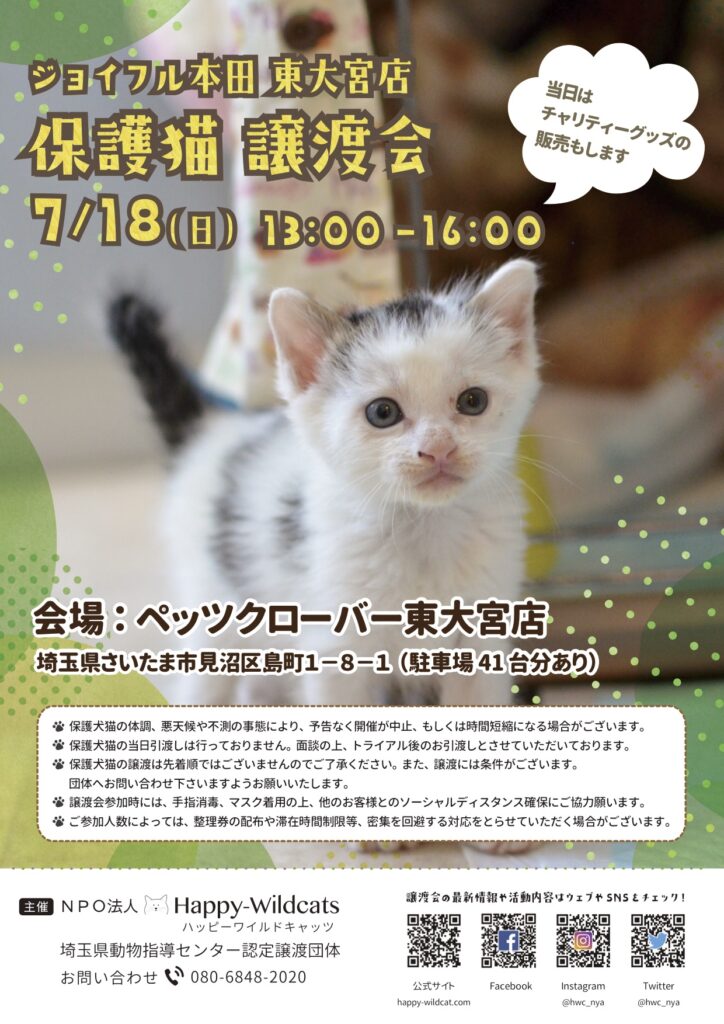 ジョイフル本田 東大宮店にて保護猫譲渡会