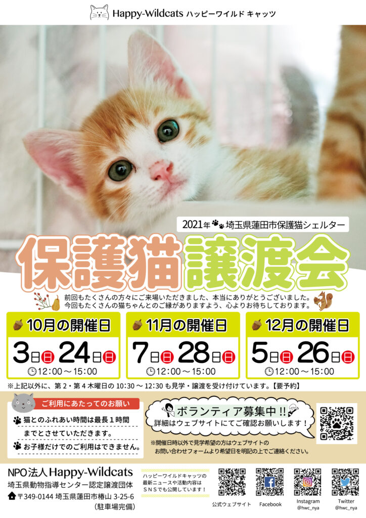 2021年10〜12月の保護猫譲渡会のお知らせ