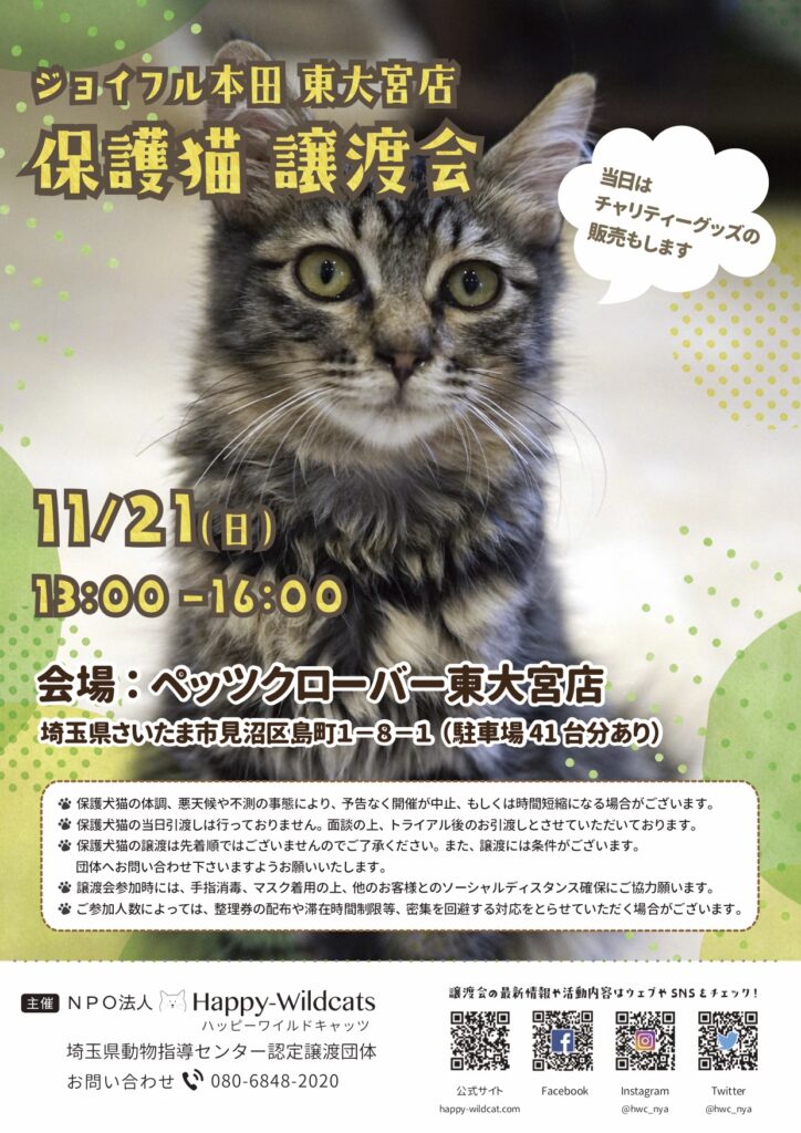 ジョイフル本田 東大宮店にて保護猫譲渡会