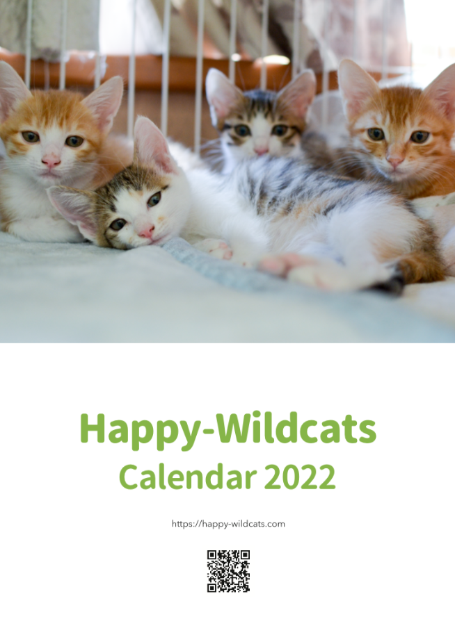 Happy-Wildcatsカレンダー2022