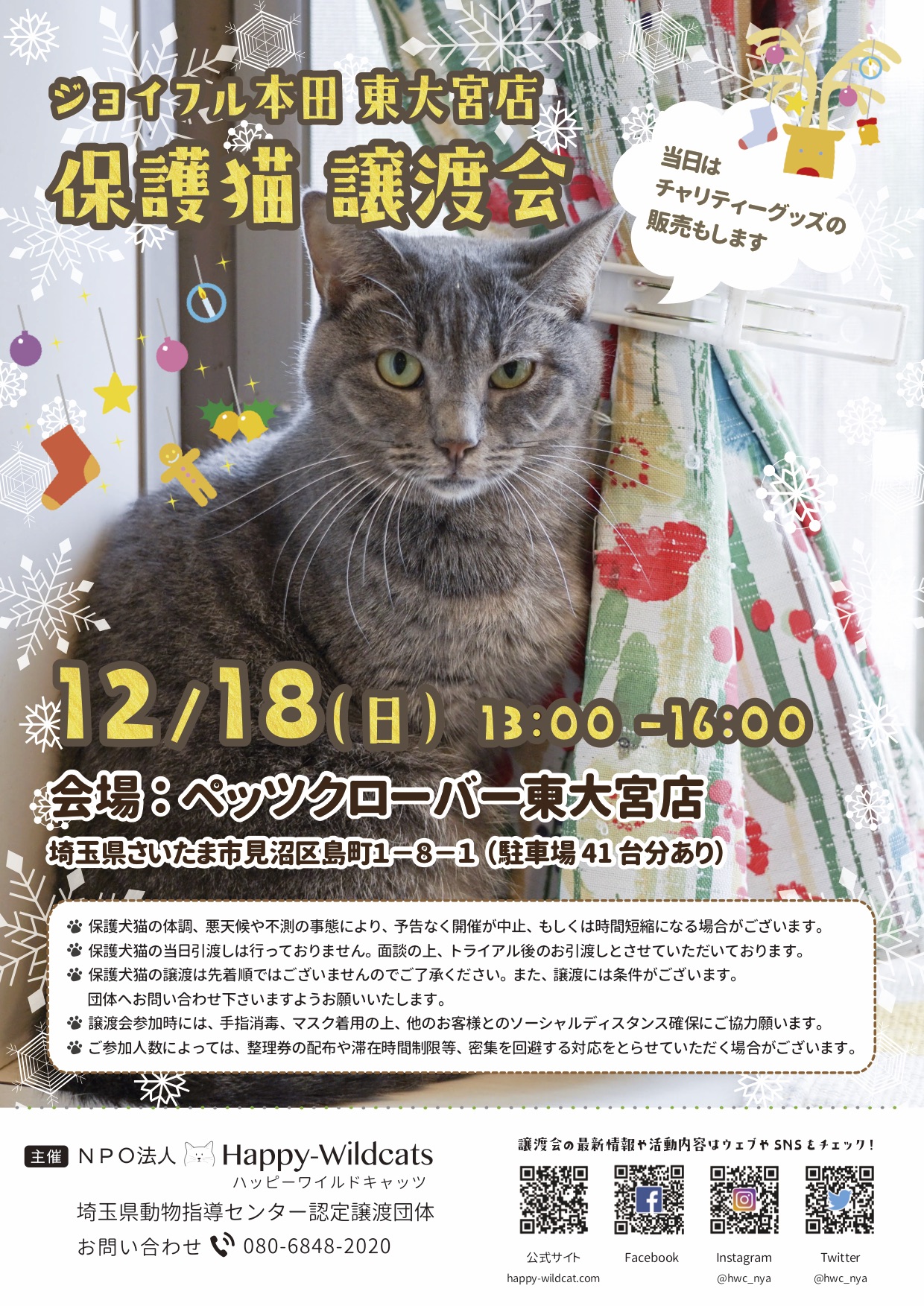 ジョイフル本田東大宮店・保護猫譲渡会