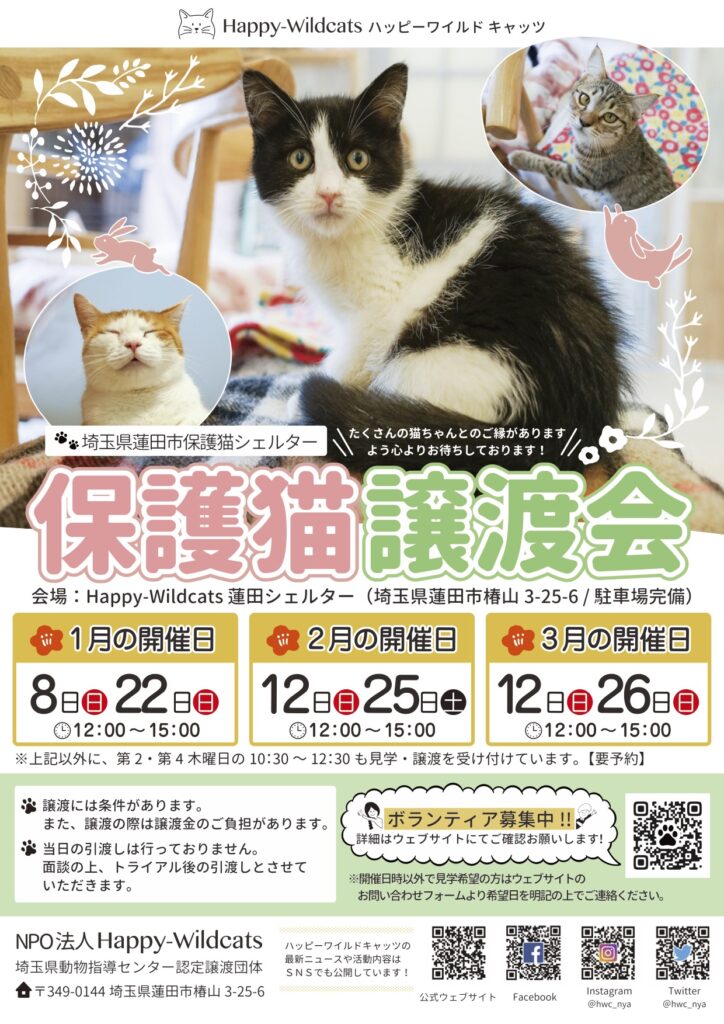 2023年1〜3月の蓮田シェルター保護猫譲渡会のお知らせ
