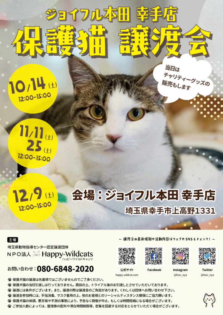 ジョイフル本田幸手店 保護猫譲渡会のお知らせ