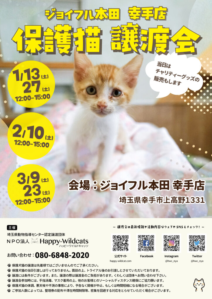 ジョイフル本田幸手店 保護猫譲渡会のお知らせ