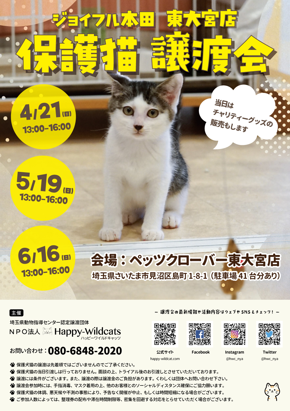 ジョイフル本田東大宮店 保護猫譲渡会のお知らせ