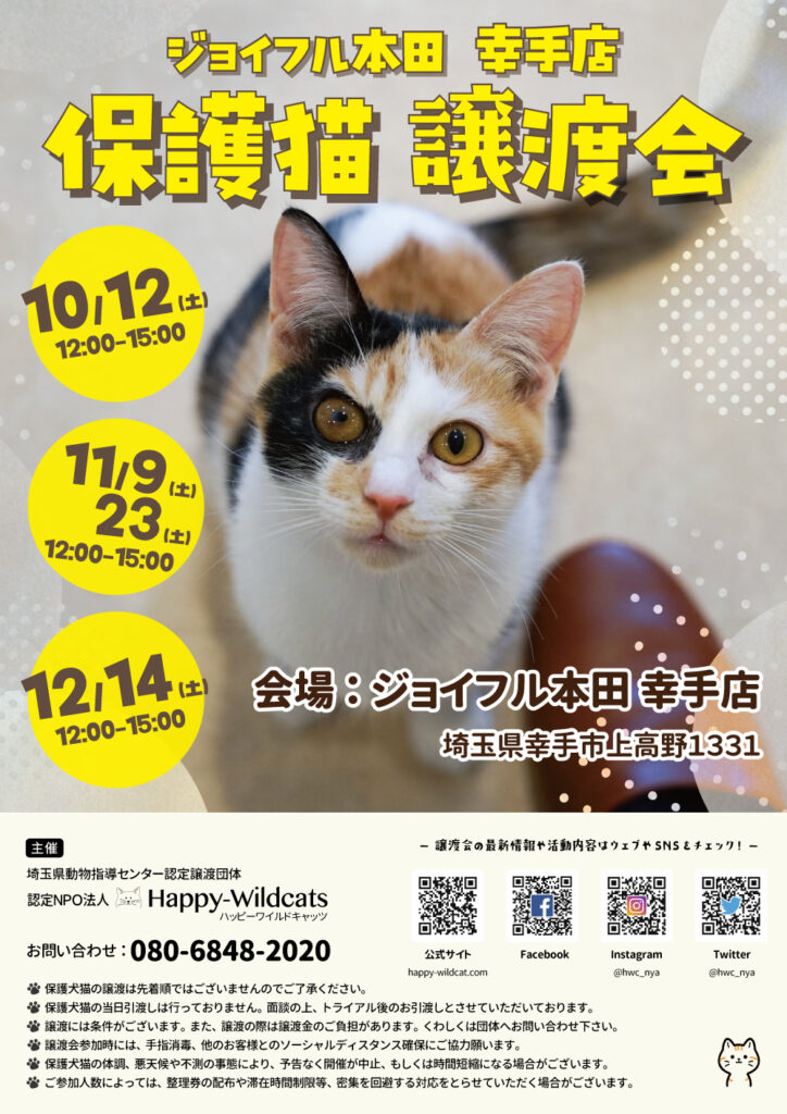 ジョイフル本田幸手店 保護猫譲渡会のお知らせ