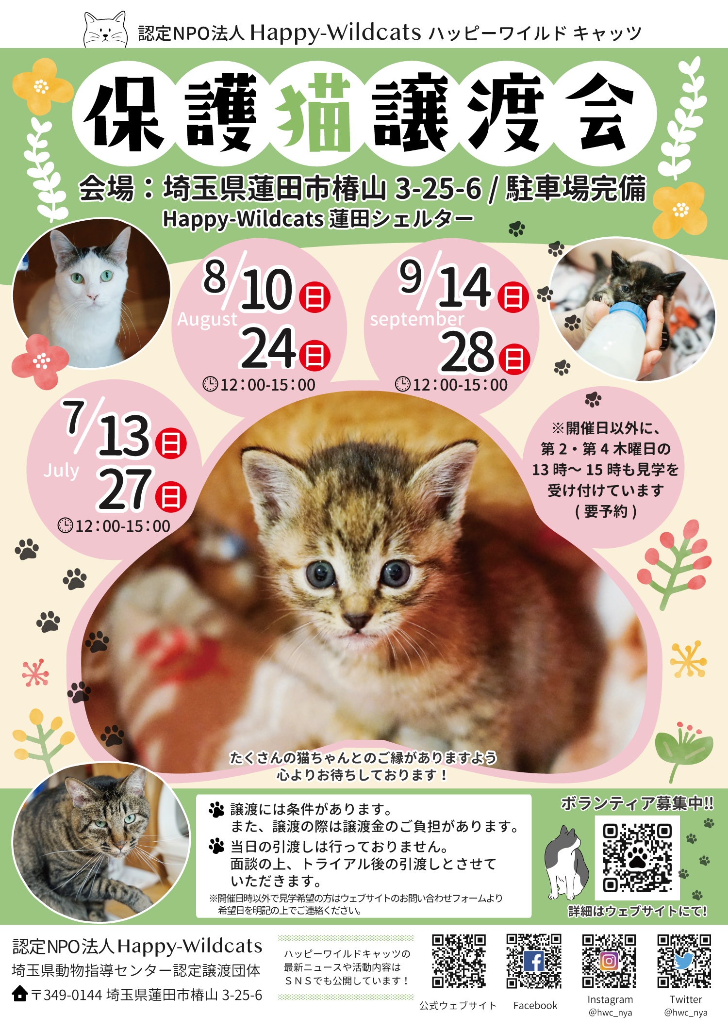 蓮田シェルター 譲渡会