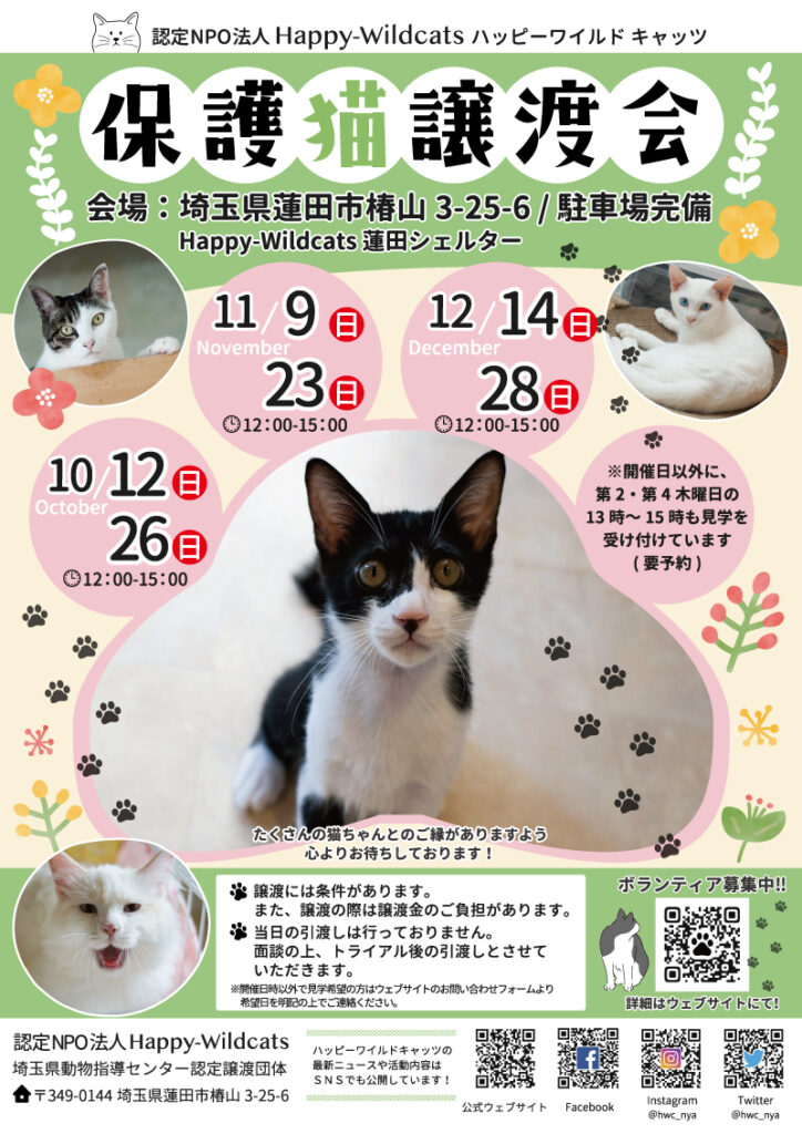 蓮田シェルター 譲渡会