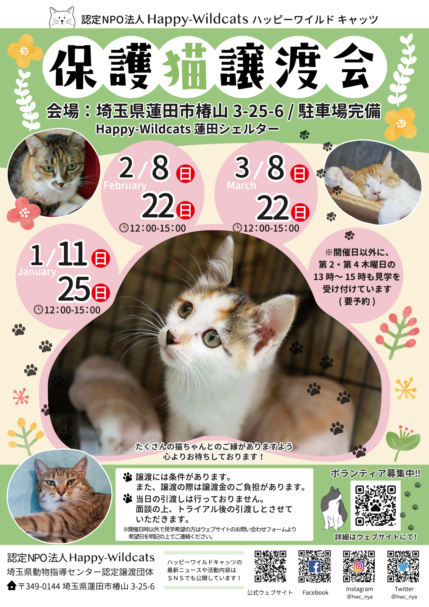 蓮田シェルター 譲渡会