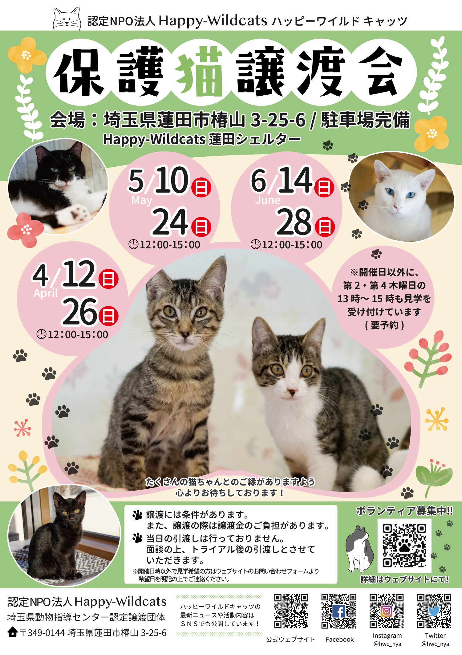 蓮田シェルター 譲渡会