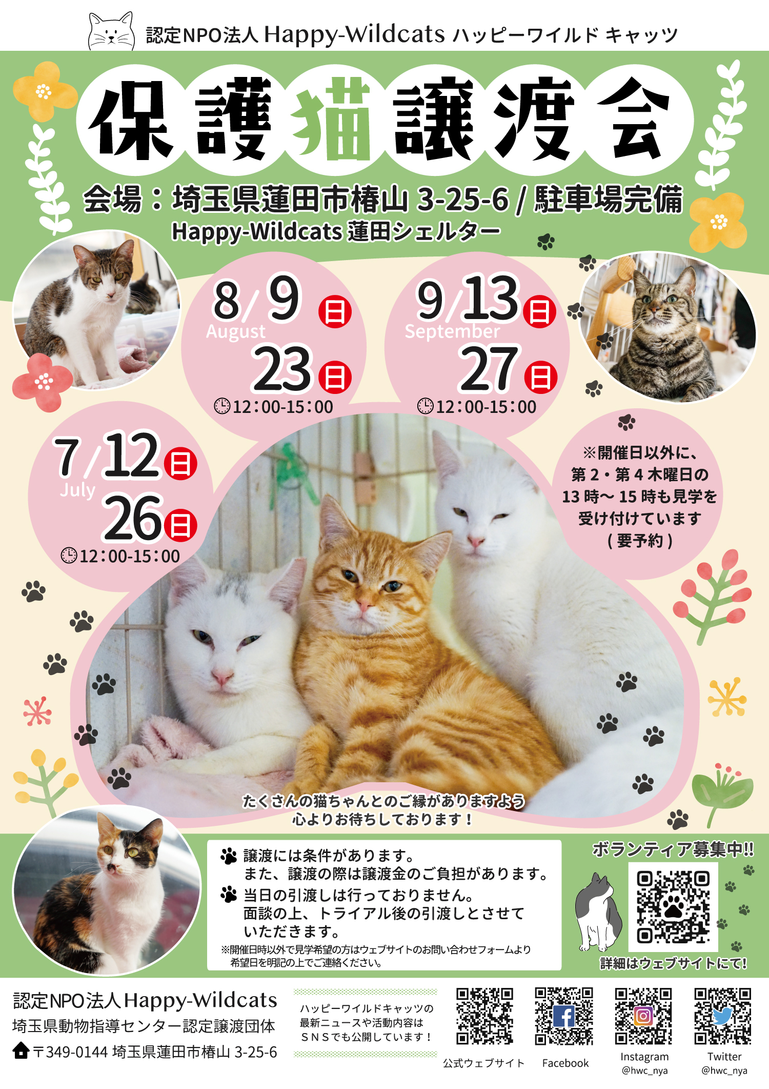 蓮田シェルター 譲渡会