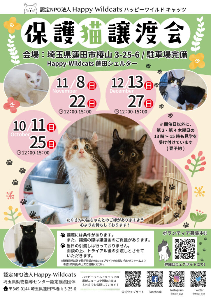 蓮田シェルター 譲渡会